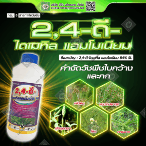 2,4-ดี ไดเมทิลแอมโมเนียม