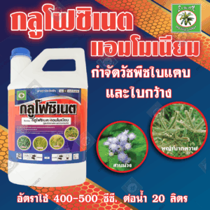 กลูโฟซิเนต (สูตรน้ำฟ้า)