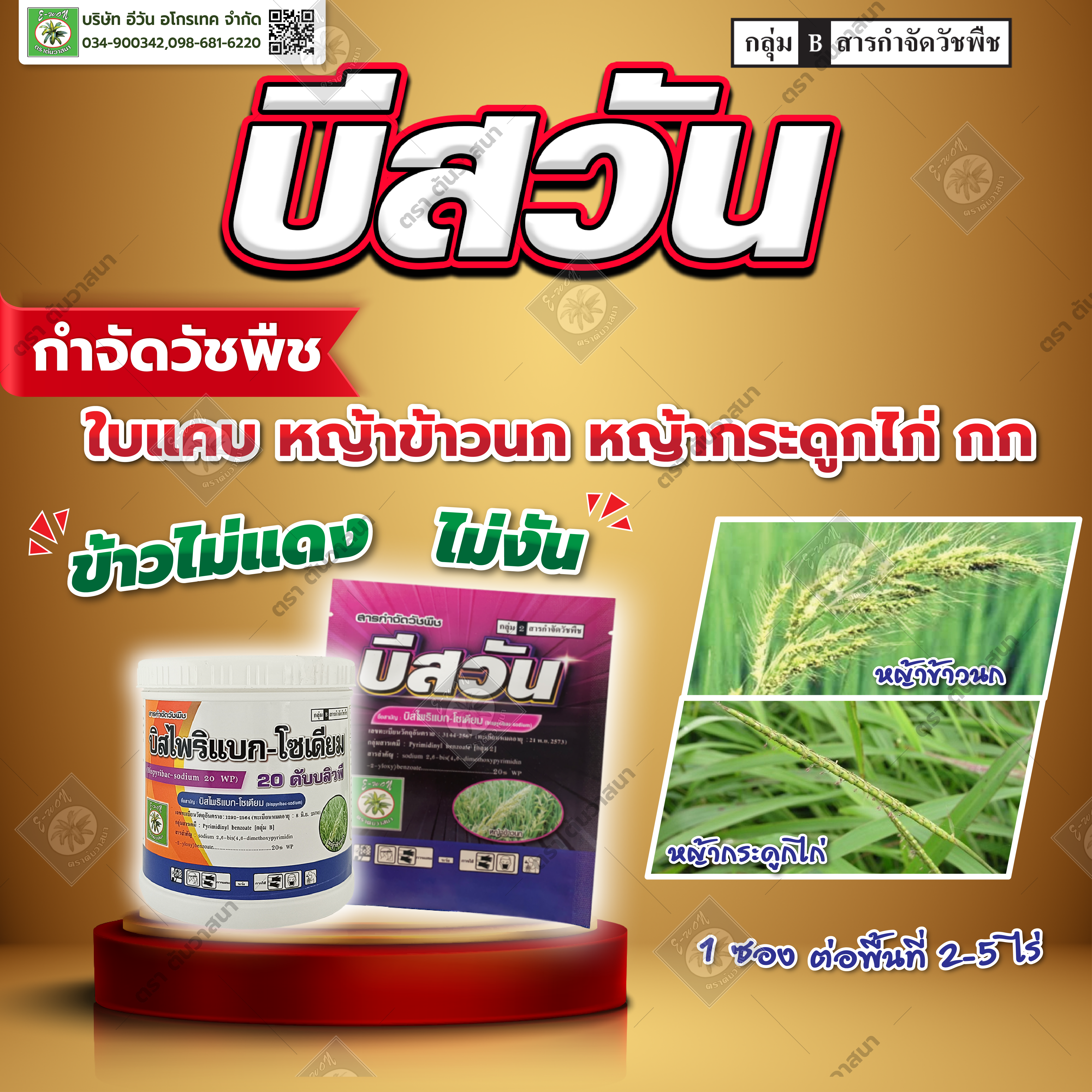 บีสวัน