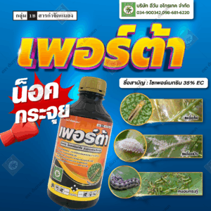เพอร์ต้า