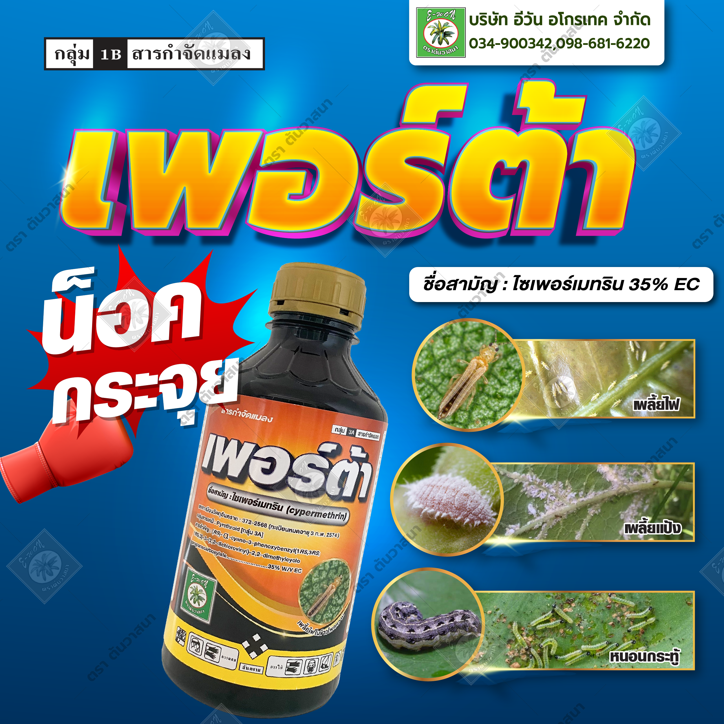 เพอร์ต้า