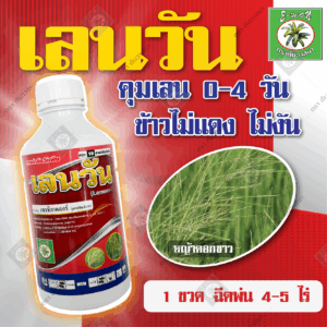 เลนวัน