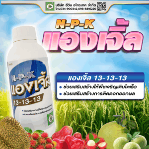 แองเจิ้ล 13-13-13