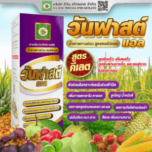 วันฟาสต์