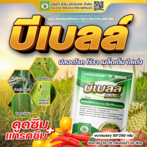 บีเบลล์