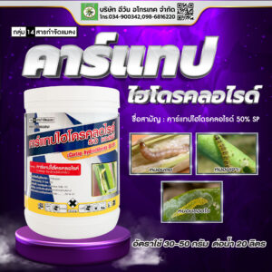 คาร์แทปไฮโดรคลอไรด์