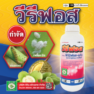วีรีฟอส
