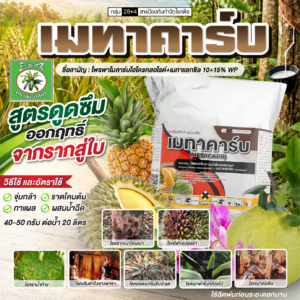 เมทาคาร์บ
